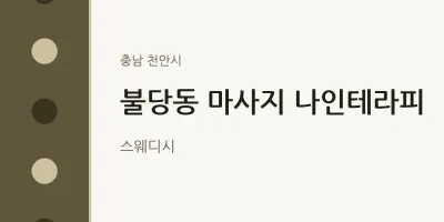 천안시 출장마사지 홈타이 나인테라피 | 마픽