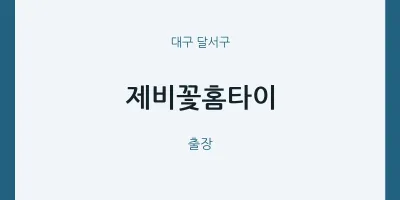 달서구 출장마사지 제비꽃홈타이 | 마픽