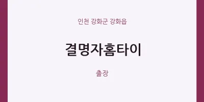 강화읍 출장마사지 결명자홈타이 | 마픽