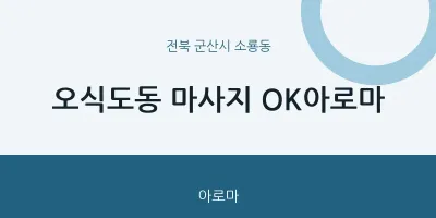 소룡동 출장마사지 홈타이 OK아로마 | 마픽