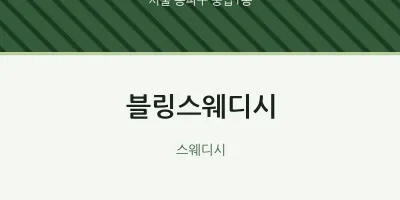 풍납1동 출장마사지 홈타이 블링스웨디시 | 마픽