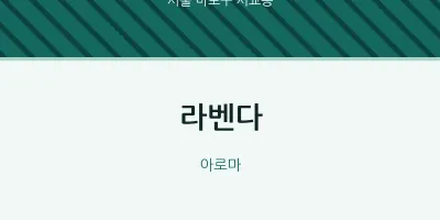 서교동 출장마사지 홈타이 라벤다 | 마픽