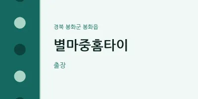 봉화읍 출장마사지 별마중홈타이 | 마픽