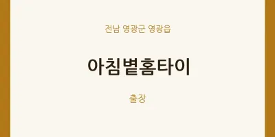 영광읍 출장마사지 아침볕홈타이 | 마픽