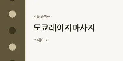 송파구 출장마사지 홈타이 도쿄레이저마사지 | 마픽