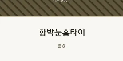 성동구 출장마사지 함박눈홈타이 | 마픽