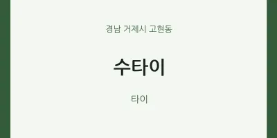 고현동 출장마사지 홈타이 수타이 | 마픽