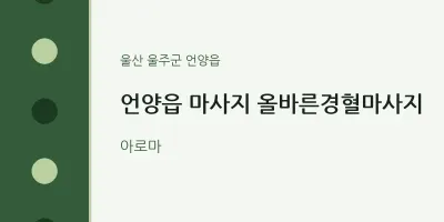 언양읍 출장마사지 홈타이 올바른경혈마사지 | 마픽