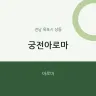 궁전아로마