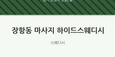 장항2동 출장마사지 홈타이 하이드스웨디시 | 마픽