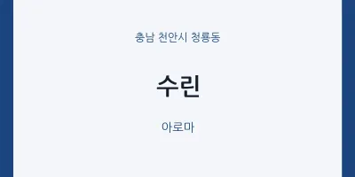 청룡동 출장마사지 홈타이 수린 | 마픽