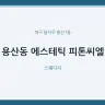 용산동 에스테틱 피톤씨엘