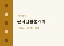 양천구 출장마사지 홈타이 끈적달콤홈케어 |…