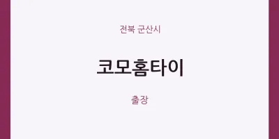 군산시 출장마사지 코모홈타이 | 마픽