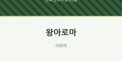 효자3동 출장마사지 홈타이 왕아로마 | 마픽