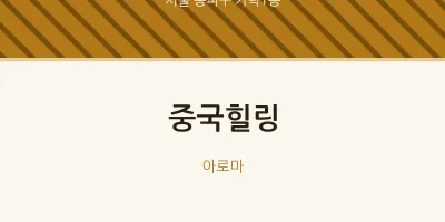 가락1동 출장마사지 홈타이 중국힐링 | 마픽