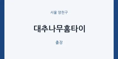양천구 출장마사지 대추나무홈타이 | 마픽