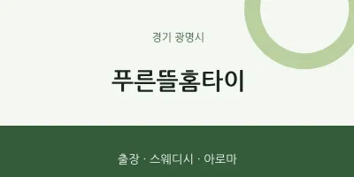 광명시 출장마사지 푸른뜰홈타이 | 마픽