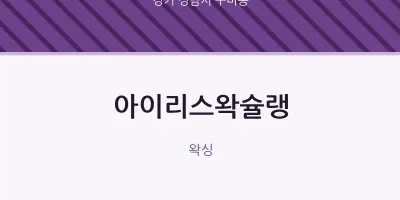 구미동 출장마사지 홈타이 아이리스왁슐랭 | 마픽