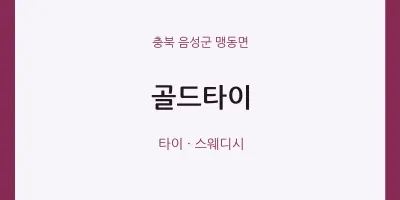 맹동면 출장마사지 홈타이 골드타이 | 마픽