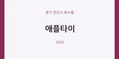 호수동 출장마사지 홈타이 애플타이 | 마픽