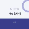 매실홈타이