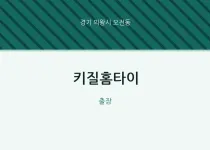 오전동 출장마사지 키질홈타이 | 마픽