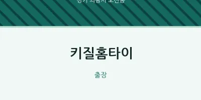 키질홈타이