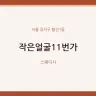작은얼굴11번가