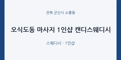 소룡동 출장마사지 홈타이 1인샵 캔디스웨디시 | 마픽