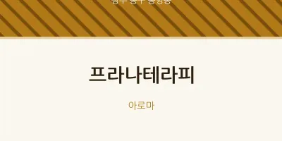 동명동 출장마사지 홈타이 프라나테라피 | 마픽