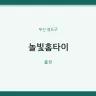 놀빛홈타이