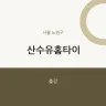 산수유홈타이