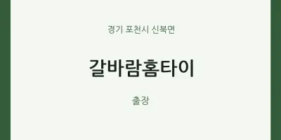 신북면 출장마사지 갈바람홈타이 | 마픽