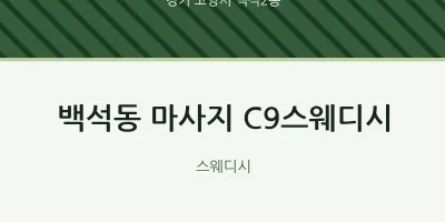 백석2동 출장마사지 홈타이 C9스웨디시 | 마픽