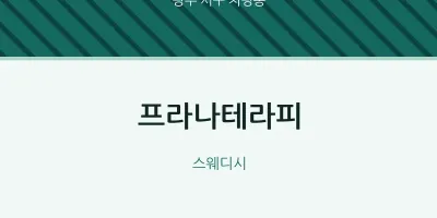 치평동 출장마사지 홈타이 프라나테라피 | 마픽
