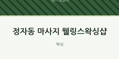 성남시 출장마사지 홈타이 웰링스왁싱샵 | 마픽