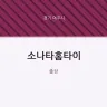 소나타홈타이