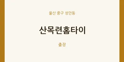 성안동 출장마사지 산목련홈타이 | 마픽