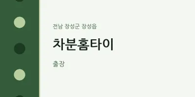 장성읍 출장마사지 차분홈타이 | 마픽
