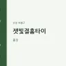 잿빛결홈타이