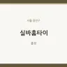 실바홈타이