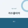 자수홈타이