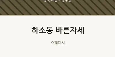 용두동 출장마사지 홈타이 바른자세 | 마픽