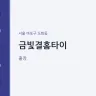 금빛결홈타이