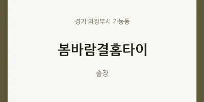 가능동 출장마사지 봄바람결홈타이 | 마픽