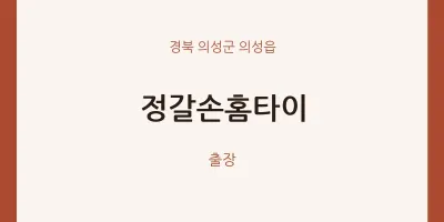 의성읍 출장마사지 정갈손홈타이 | 마픽