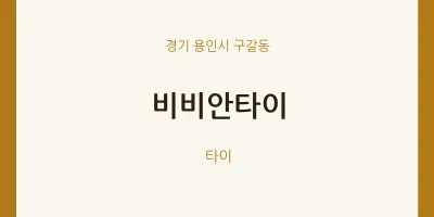 구갈동 출장마사지 홈타이 비비안타이 | 마픽
