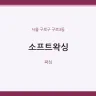 소프트왁싱