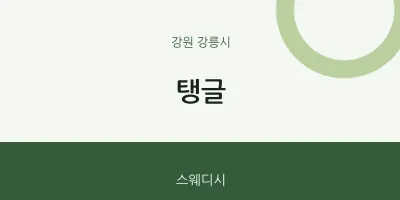 강릉시 출장마사지 홈타이 탱글 | 마픽